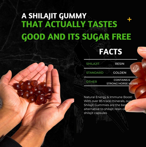 Golden Pure Himalayan Shilajit Gummies with Ashwagandha, Gokshura and Herbs, 60