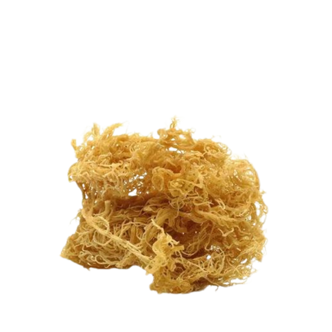 Golden Sea Moss 8.oz